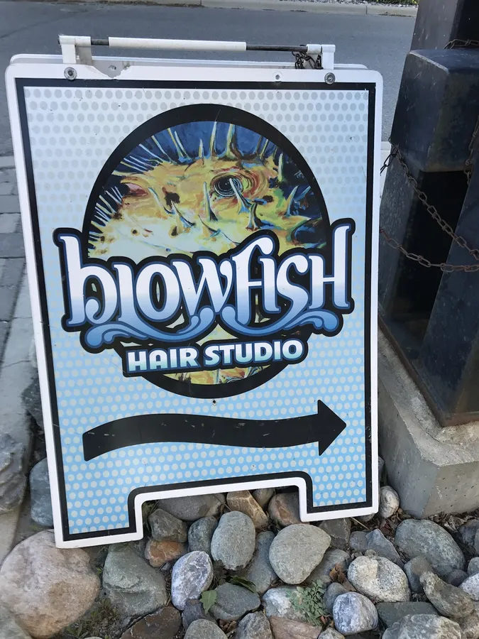 Blowfish Hair Studio