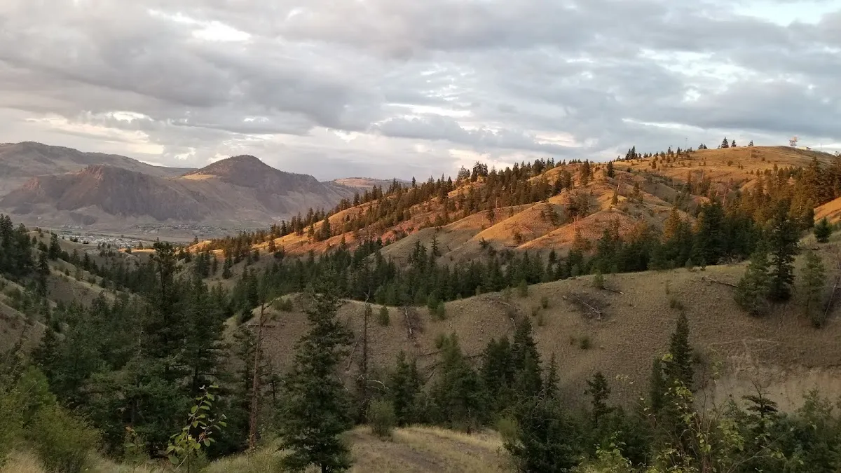 Peterson Creek Park – Summit Trail Head