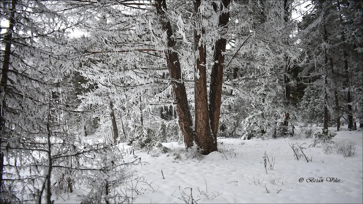 Grasslands Community Trail