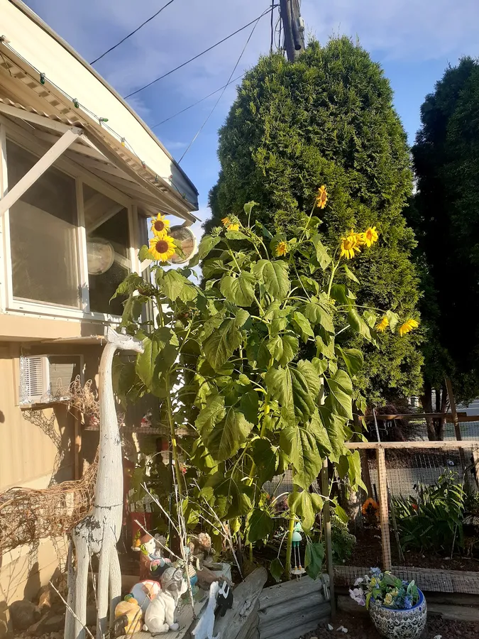 Sunnyside Heights RV & MH Park