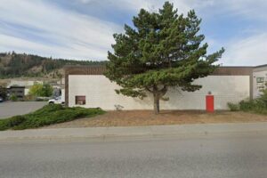 Old Dutch Potato Chips