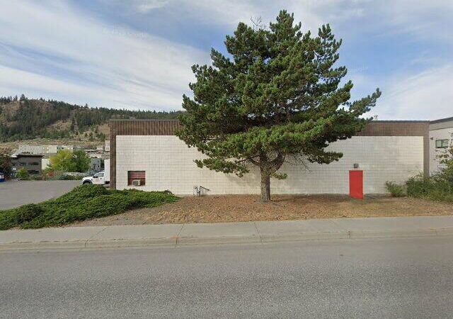 Old Dutch Potato Chips