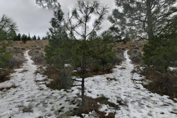 Deep Lk Loop – Grasslands Comm Tr – Around The Mtn