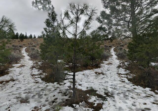 Deep Lk Loop – Grasslands Comm Tr – Around The Mtn