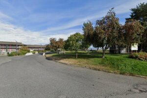 Nandi’s Flavours of India