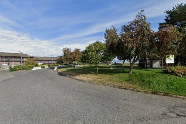 Nandi’s Flavours of India