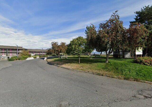 Nandi’s Flavours of India