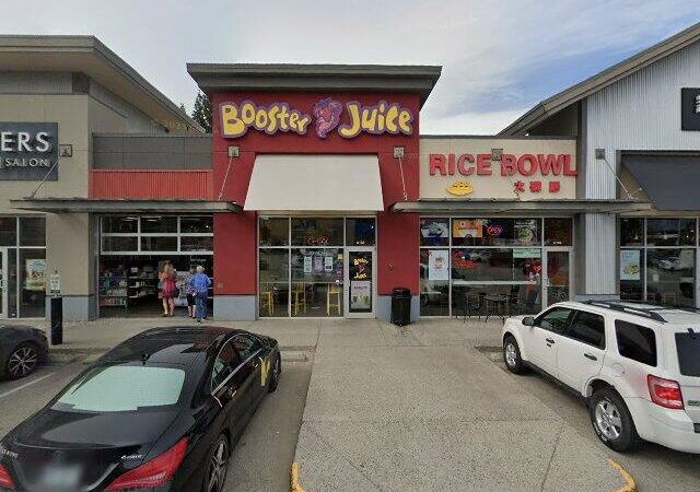 Rice Bowl Rose Garden